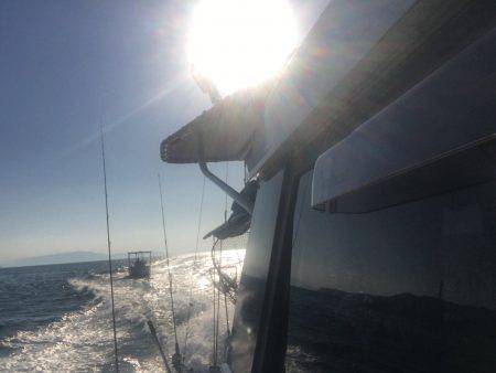 オーシャンズ 釣果