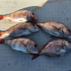 オーシャンズ 釣果