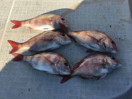 オーシャンズ 釣果