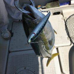 オーシャンズ 釣果