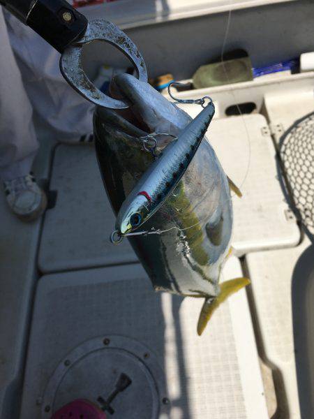 オーシャンズ 釣果