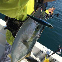 オーシャンズ 釣果