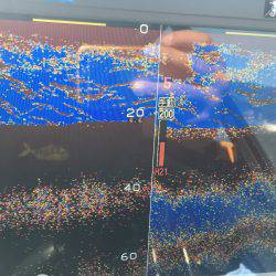 オーシャンズ 釣果