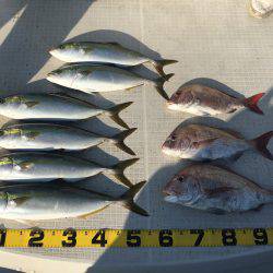 オーシャンズ 釣果