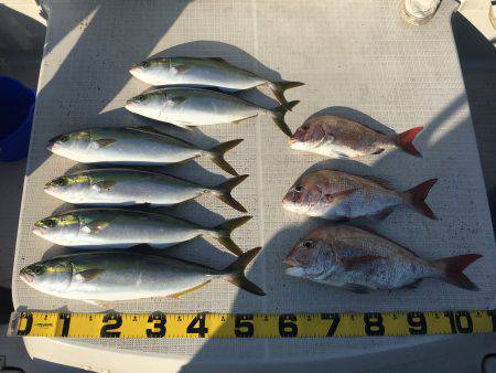 オーシャンズ 釣果