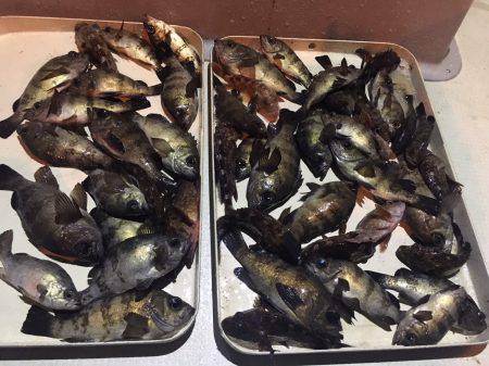 オーシャンズ 釣果