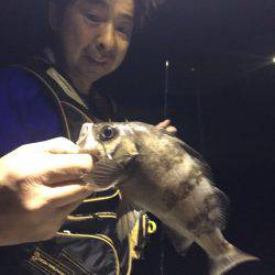 オーシャンズ 釣果