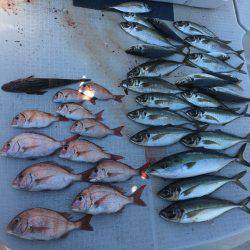 オーシャンズ 釣果