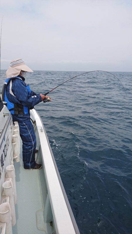 遊漁船ブルーウッズ 釣果