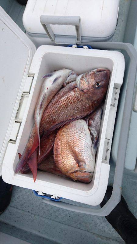 遊漁船ブルーウッズ 釣果