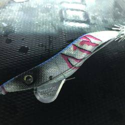 寿裕 （YOSHIHIRO） 釣果