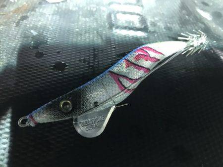 寿裕 （YOSHIHIRO） 釣果