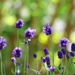 小菅トラウトガーデン 釣果