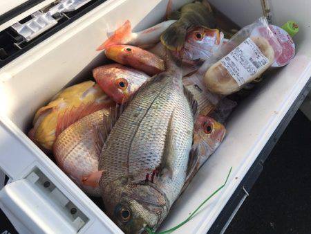 寿裕 （YOSHIHIRO） 釣果