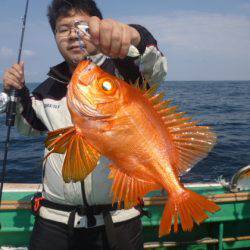 真祐丸 (しんゆうまる) 釣果