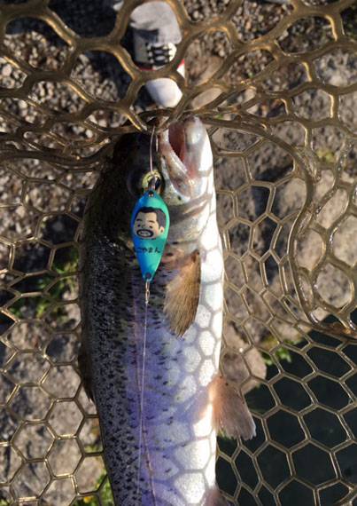 小菅トラウトガーデン 釣果