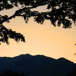 小菅トラウトガーデン 釣果