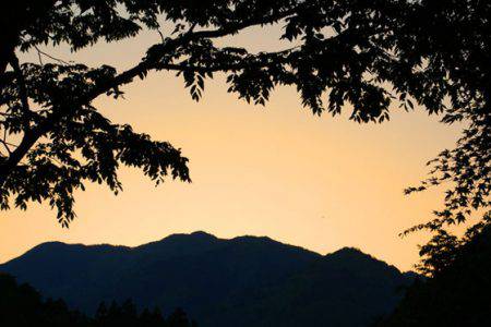 小菅トラウトガーデン 釣果