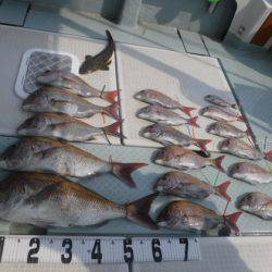 遊漁船 幸友丸 釣果