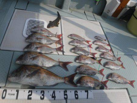 遊漁船 幸友丸 釣果