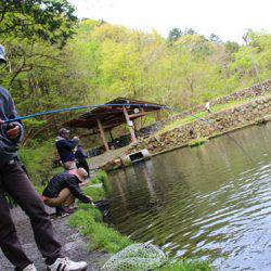 小菅トラウトガーデン 釣果