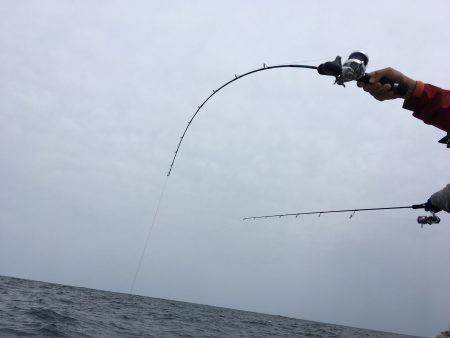 松鶴丸 釣果