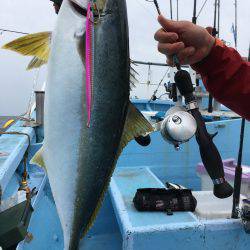 松鶴丸 釣果