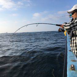 松鶴丸 釣果