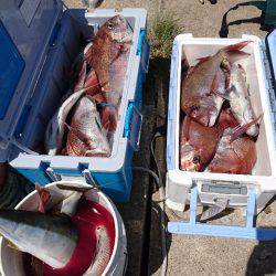 遊漁船ブルーウッズ 釣果