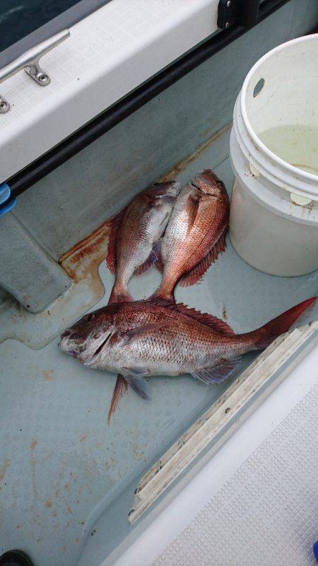 遊漁船ブルーウッズ 釣果