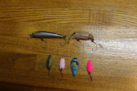 小菅トラウトガーデン 釣果