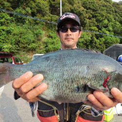 千津丸 釣果