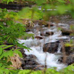 小菅トラウトガーデン 釣果