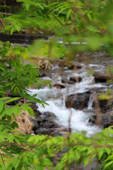 小菅トラウトガーデン 釣果