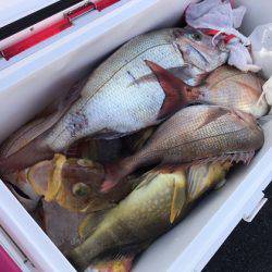 寿裕 （YOSHIHIRO） 釣果