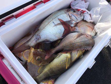 寿裕 （YOSHIHIRO） 釣果