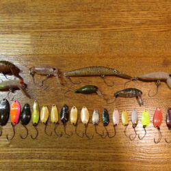 小菅トラウトガーデン 釣果