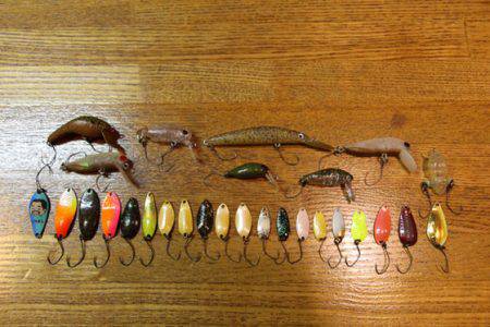 小菅トラウトガーデン 釣果