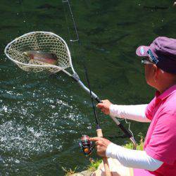小菅トラウトガーデン 釣果