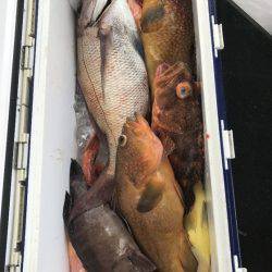 寿裕 （YOSHIHIRO） 釣果