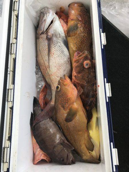 寿裕 （YOSHIHIRO） 釣果