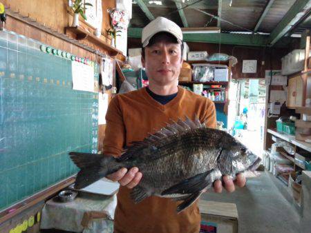 ふじや釣舟店 釣果