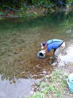 秩父フライフィールド 釣果