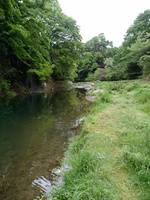 秩父フライフィールド 釣果