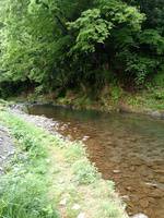 秩父フライフィールド 釣果