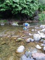 秩父フライフィールド 釣果