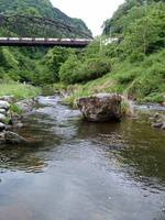 秩父フライフィールド 釣果