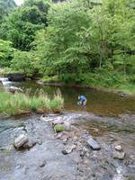 秩父フライフィールド 釣果