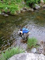 秩父フライフィールド 釣果