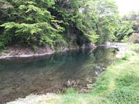 秩父フライフィールド 釣果